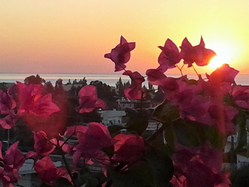 Iris Hotel Afantou Buitenkant foto